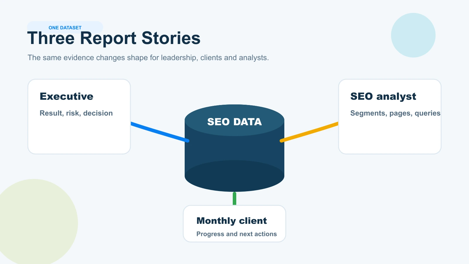 One SEO dataset adapted into executive, monthly client and analyst report examples